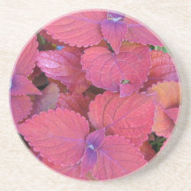 Red Purple Coleus Leaves Drink Coaster
