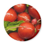 Red Radish Refrigerator Magnets