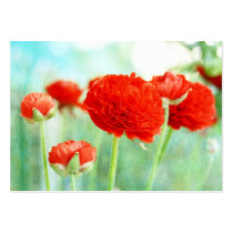 Red Ranunculus Flowers business cards