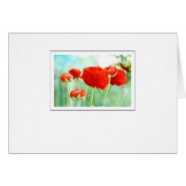 Red Ranunculus Flowers cards