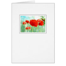 Red Ranunculus Flowers cards