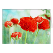 Red Ranunculus Flowers cards