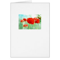 Red Ranunculus Flowers cards