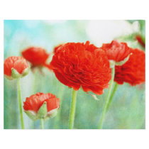 Red Ranunculus Flowers flyers