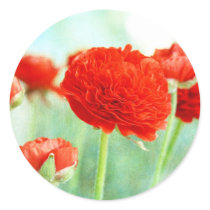 Red Ranunculus Flowers stickers