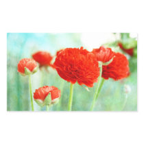 Red Ranunculus Flowers stickers