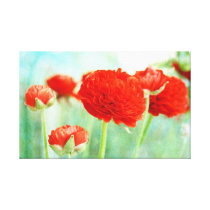 Red Ranunculus Flowers Wrapped Canvas Print canvas prints