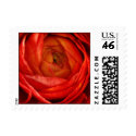 Red Ranunculus Wedding Postage postage by litabug Red Ranunculus Wedding Postage postage