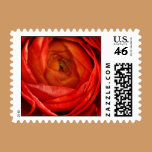 Red Ranunculus Wedding Postage stamps