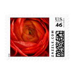 Red Ranunculus Wedding Postage