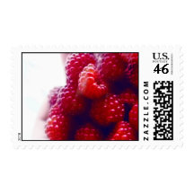 Red Raspberries Photo Postage