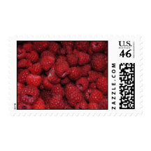Red Raspberries Postage