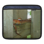 red rat snake in fence head up iPad sleeve