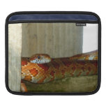 red rat snake side head iPad sleeve