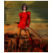 Ladies Baby Doll (Fitted)