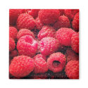 Red Red Red magnets by curiouskiwi Red Red Red magnets