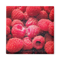 Red Red Red magnets