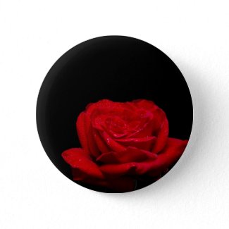 Red Red Rose zazzle_button