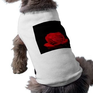Red Red Rose zazzle_petshirt