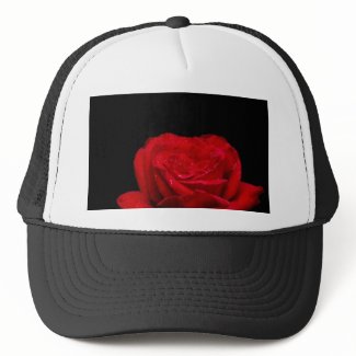 Red Red Rose zazzle_hat