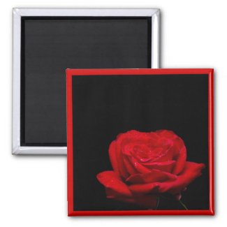 Red Red Rose zazzle_magnet