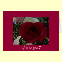 red, red rose photo by Gwen Billips cards