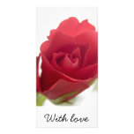 Red, red rose ... photo card