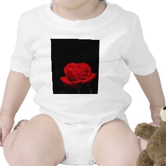 Red Red Rose zazzle_shirt