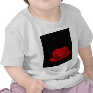 Red Red Rose zazzle_shirt