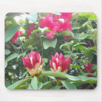 Red Rhodendron Buds mousepads