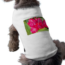 Red Rhodendron Buds Opening pet clothing by flowercottage Red Rhodendron Buds Opening pet clothing