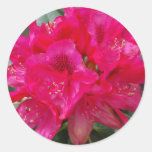 Red Rhododendron Stickers