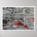 Red Ribbon posters