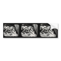 Red Riding Hood bumper stickers by twelfthhouse Red Riding Hood bumper stickers