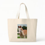 Red Roan Colt bags
