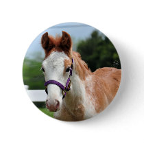 Red Roan Colt Pin
