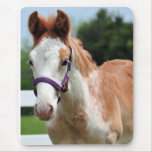 Red Roan Colt Mouse Pad