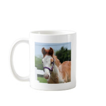 Red Roan Colt Mugs