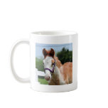 Red Roan Colt mugs