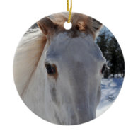 Red Roan Horse Eyes Christmas Ornaments