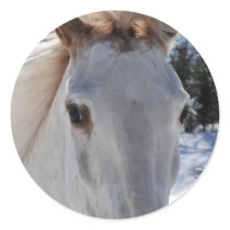 Red Roan Horse Eyes Round Sticker