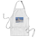 Red Roan in Snow Aprons
