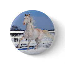 Red Roan in Snow Pinback Buttons