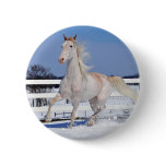 Red Roan in Snow Pinback Buttons