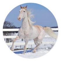 Red Roan in Snow Stickers