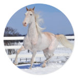 Red Roan in Snow Stickers