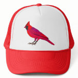 RED ROBIN CAP TRUCKER HATS