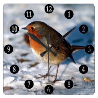 Red Robin in the snow numerals Square Wallclocks