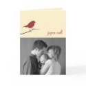 Red robin Joyeux Noël Christmas photo modern card