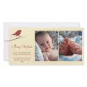 Red robin snowy branch cream Merry Christmas photocard